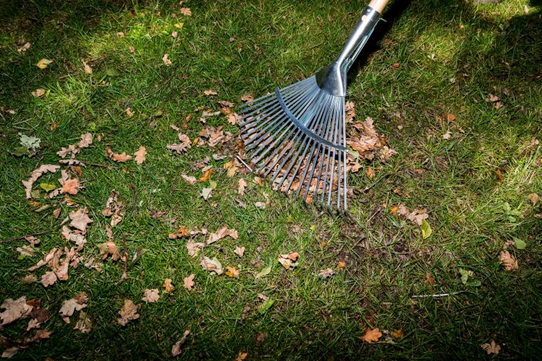 Referenz Laubentsorgung